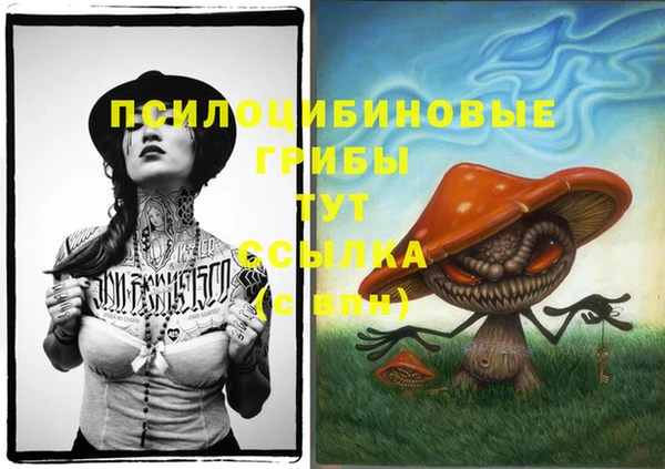 индика Вязники