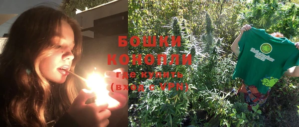 индика Вязники