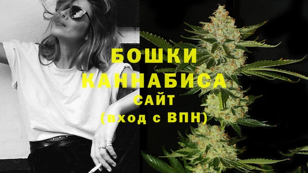 индика Вязники