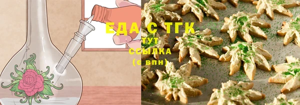 индика Вязники
