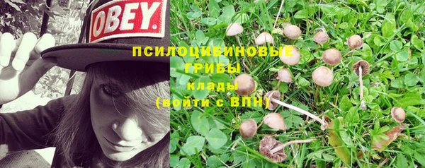МДМА Вязьма